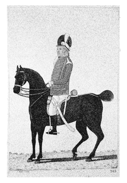 Mr. Nugent, of the Pembrokeshire Cavalry