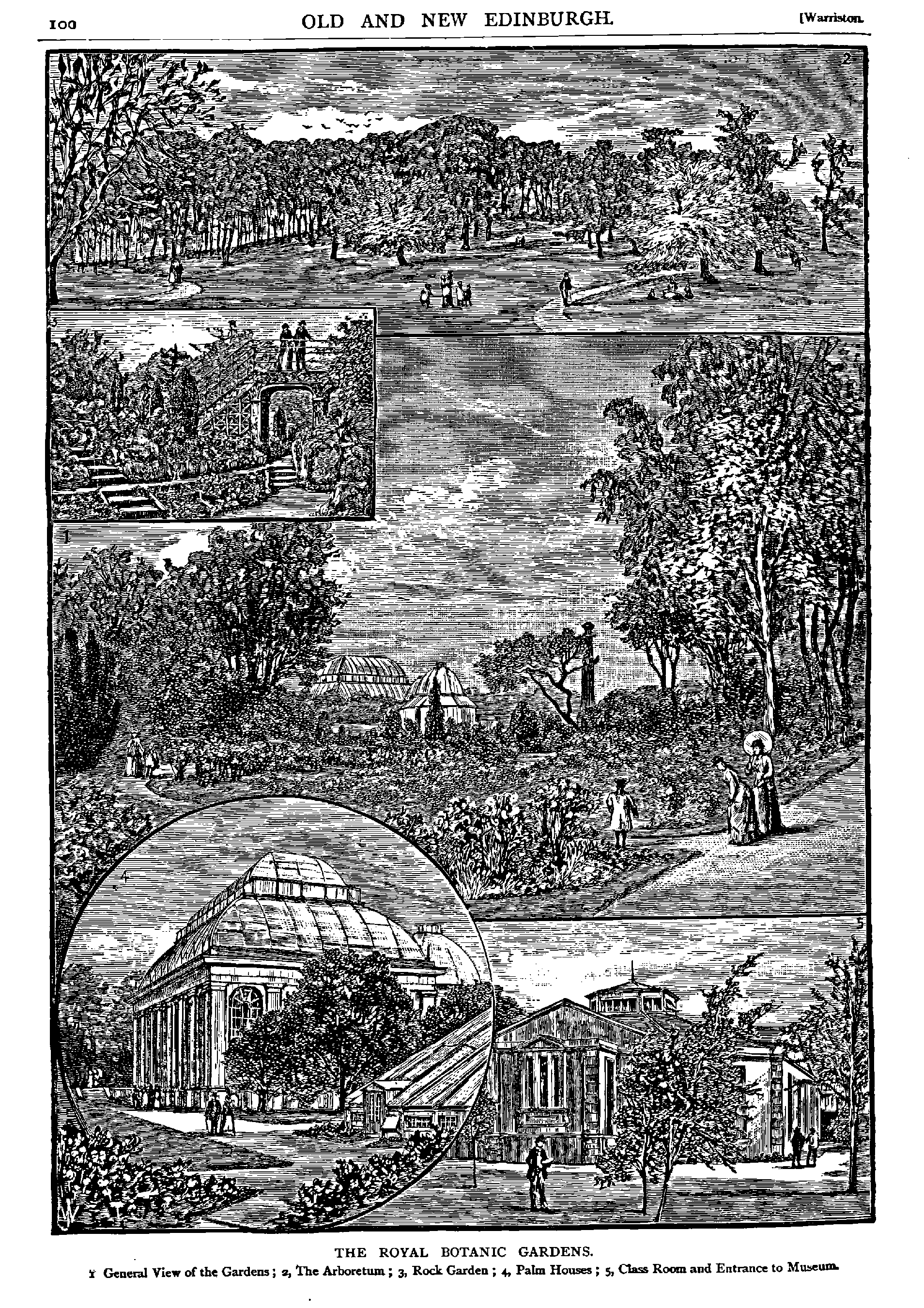 THE ROYAL BOTANIC GARDENS.
Y General Vier of the Gardem ; z, 'The Arboretum ; 3, Rock Garden ; 4 Palm Houses ; 5, Class Rarm and Entrance to NUwm